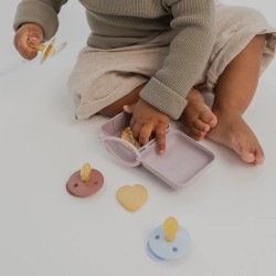 ΘΗΚΗ ΠΙΠΙΛΑΣ BIBS SAGE